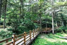 일동맘 - ILDONGMOM