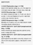 일동맘 - ILDONGMOM