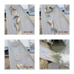 유료터정보 > 유료터점주조황 > 도심속의 작은쉼터  화성관리낚시터 유료터정보 > 유료터점주조황 > 