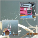 유료터정보 > 유료터점주조황 > 도심속의 작은쉼터  화성관리낚시터 유료터정보 > 유료터점주조황 > 