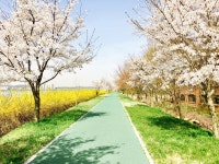 일성콘도&리조트 