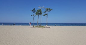 일성콘도&리조트 