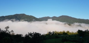 일성콘도&리조트 