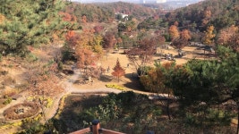 일성콘도앤리조트 