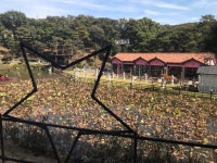 일성콘도&리조트 