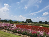 일성콘도앤리조트 