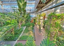 일성콘도&리조트 