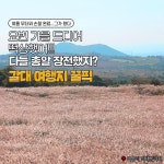 일성콘도앤리조트 