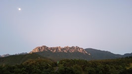 일성콘도&리조트 