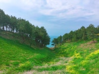 일성레저산업(주) 