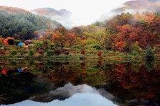 일성레저산업(주) 