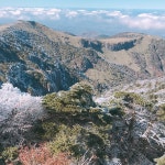 일성콘도&리조트 