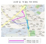 종로구, 24일부터 명륜동 소나무길  ‘차없는 거리’  시행 | 일요신문 종로구, 24일부터 명륜동 소나무길  ‘차없는 거리’  시행