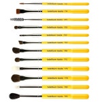 iHerb.com - 상품평 -Bdellium Tools, Studio Line, Eyes Brush Set and Pouch, 12 Pc Set 