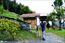 여행기 - 몽블랑 R (6) - 물망초