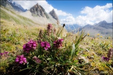 여행기 - 몽블랑 R (8) - 엘리자베따 가는 길