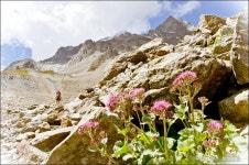 여행기 - 몽블랑 R (8) - 엘리자베따 가는 길