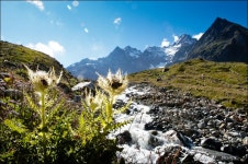 여행기 - 몽블랑 R (8) - 엘리자베따 가는 길