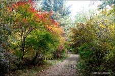 여행기 - 연인산 - 가을 속으로