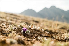 여행기 - 몽골 테를지 (1)