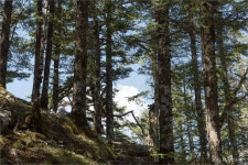 여행기 - 태백산(mt.taibai) 기행