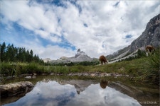 여행기 - 돌로미테 AV1(7)