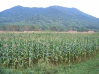 여행기 - 장백산(우리는 백두산이라 부름) 종주 - 5