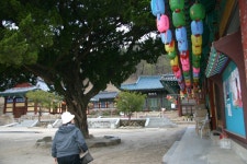 여행기 - 한밤마을 - 그 주변 둘러보기