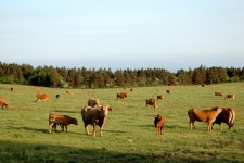 여행기 - 은밀한 정원으로 안내합니다