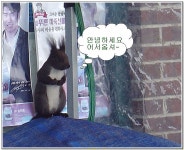 동물갤러리 - 어서오세요...