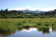 자유게시판 - 백두산.....!