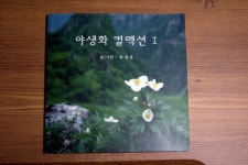 자유게시판 - 나만의 책 만들기 ^^