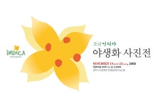 자유게시판 - 호남인디카 야생화 사진전