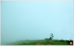 삶의향기 - 좋은 일만 생각하기에도.....