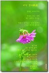 삶의향기 - 비의 연서戀書