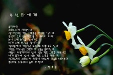 삶의향기 - 시와 노래...