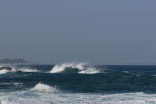 삶의향기 - 희망을 버리는 것은 죄악이다 / 장영희