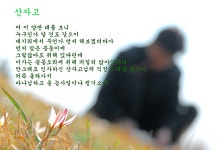 삶의향기 - 산자고