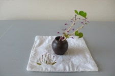 삶의향기 - 생명