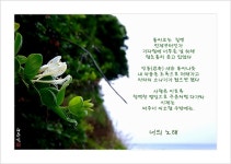 삶의향기 - 너의 노래
