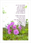 삶의향기 - 오월의 편지