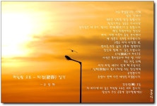 삶의향기 - 하늘빛 고요 - 고 진하詩