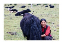 여행기 - 사람과 자연이 하나된 초원
