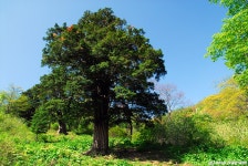여행기 - 두위봉
