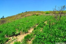 여행기 - 두위봉