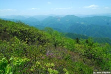 여행기 - 두위봉