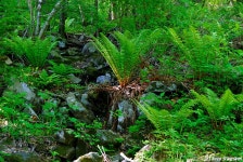 여행기 - 두위봉