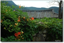 여행기 - 한밤마을에서...