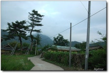 여행기 - 한밤마을에서...