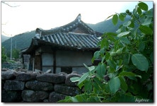 여행기 - 한밤마을에서...